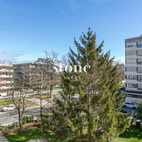 Appartement à vendre - Grand-Lancy